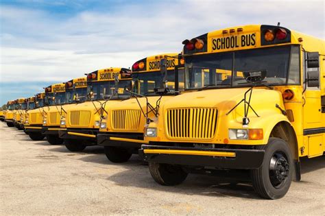 School Transportation School Bus Inc Team