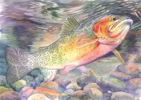 Rainbow Trout Painting By Sara Alexander Munoz