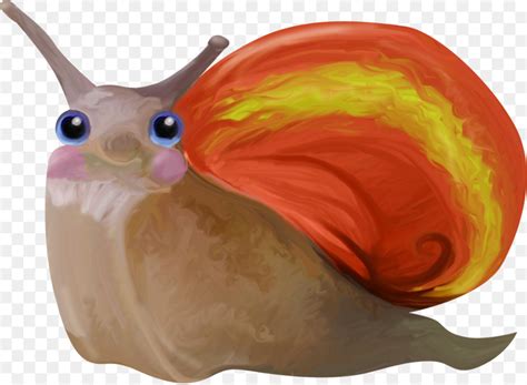 Caracol Slug O Caramujo Gigante Africano Png Transparente Gr Tis