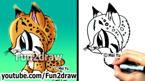 How To Draw Animals How To Draw A Bob Cat Cute Art Easy Drawings