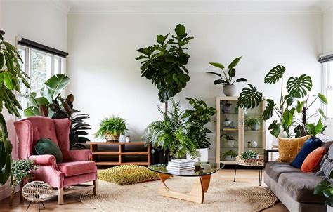 How To Decorate A Living Room With Plants 25 Amazing Ideas