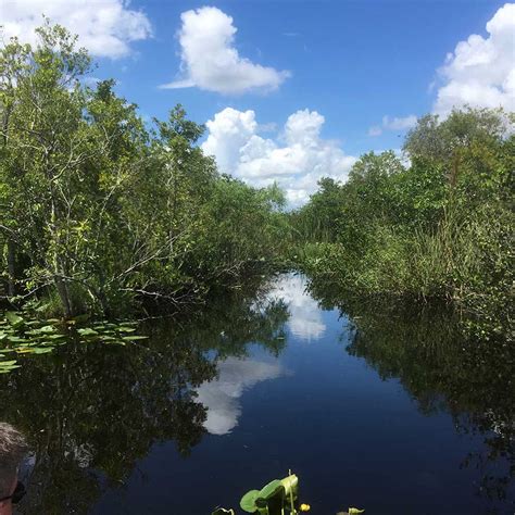 Everglades Swamp The Chap