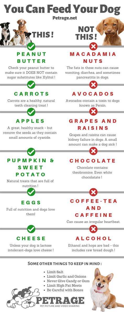 Safe And Unsafe Foods For Dogs Dog Infographic Animal Infographic