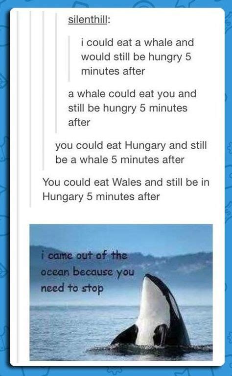 Whale Whale Whalewhat Have We Here Funny Funny Pictures Laugh