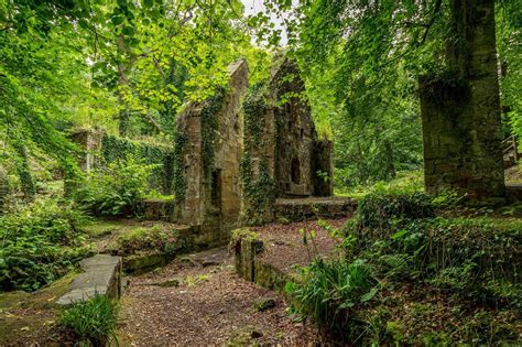 Derelict Green Aesthetic Abandoned Places Scape Garden Arch