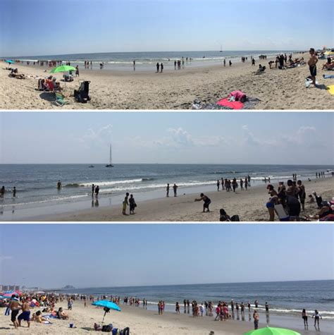 Shark Sighting Reported At Rockaway Beach Park Slope Ny Patch