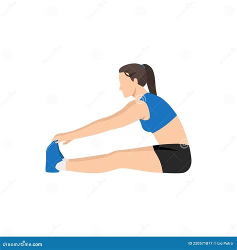 Woman Doing Seated Forward Bend Stretch Exercise Stock Illustration Illustration Of Basic