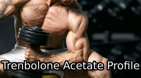 Trenbolone Acetate Review And Features Of Steroid