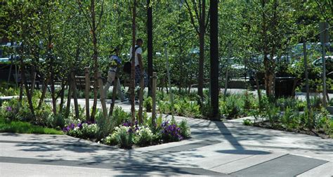 Levinson Plaza Mikyoung Kim Design Our Work Brings Health And Well