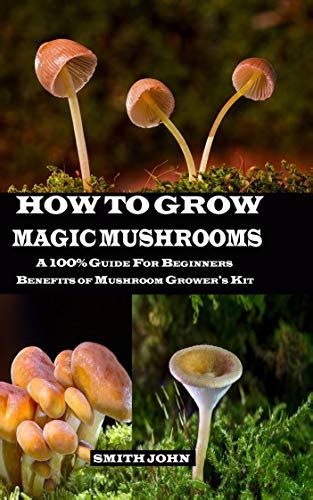 How To Grow Magic Mushrooms A 100 Guide For Beginners Benefits Of