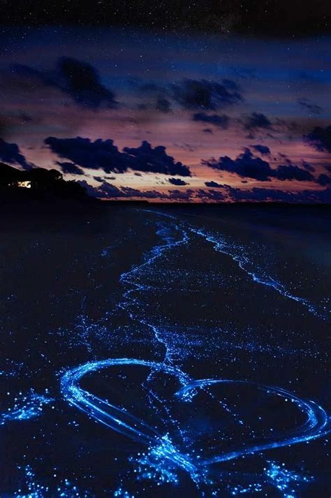 Sea Of Stars Maldives This Sensational Sight Is Caused By