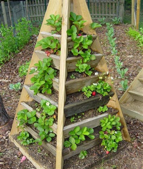 How To Build A Pyramid Strawberry Planter Diy Plans