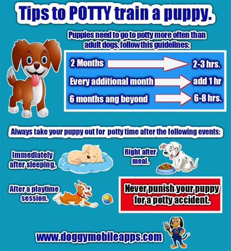 26 Potty Training App Puppy Ideas