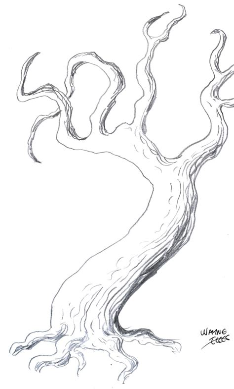 Drawing Trees How To Draw A Tree Step By Step Hubpages