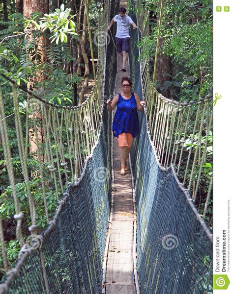 Canopy Bridge In Taman Negara Malaysia Editorial Stock Photo Image