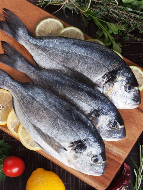 Jika kita sering mengonsumsi ikan air tawar, tubuh kita juga akan sehat dan bugar. 10 Jenis Ikan Tawar yang Paling Sering Dikonsumsi di ...