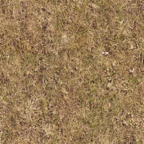 Dry Grass Texture Seamless 12934