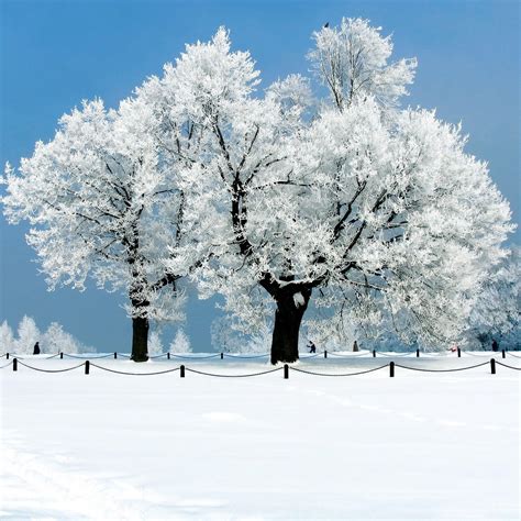 49 Beautiful Winter Scenes Desktop Wallpapers On