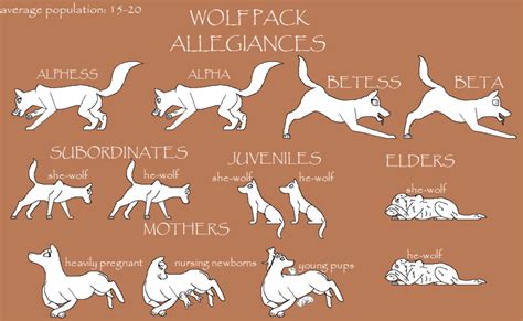 Wolf Pack Ranks Wolf Pack Ranks Wolf Pack Wolf Drawing