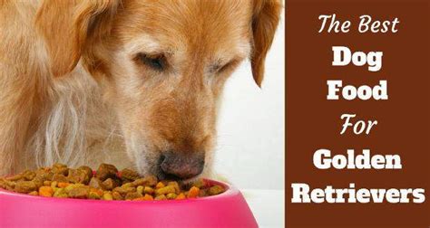 7 Best Dog Foods For Golden Retrievers 2024 Peak Health And Vitality