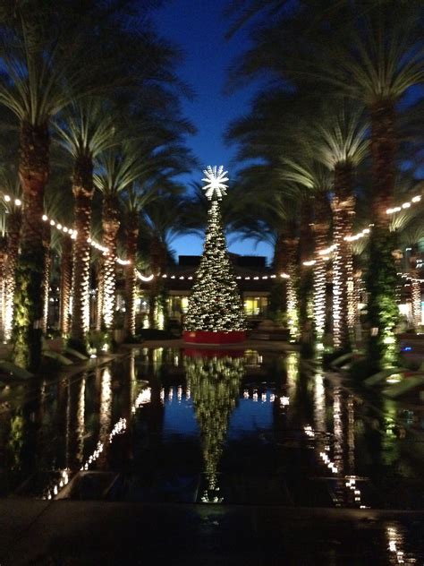 Arizona Christmas Christmas Spirit Christmas Desert Garden