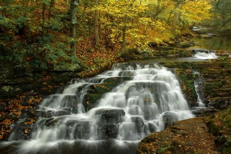 Best Time To See Pennsylvania Fall Foliage 2024 When To See Roveme