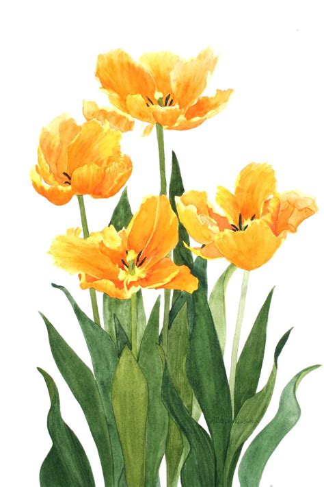 Set Of Five Notecards Parrot Tulip Watercolor Painting Etsy