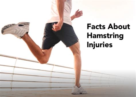Facts About Hamstring Injuries Metro Physio