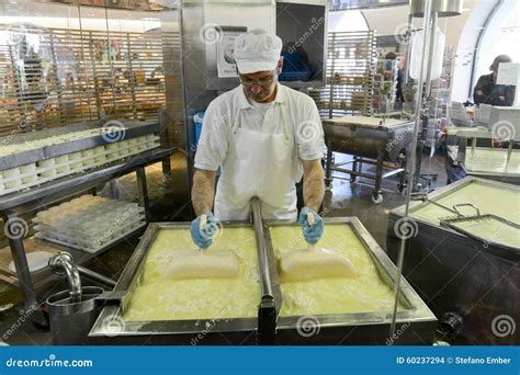 Cheesemaker Preparing The Cheese In A Show Dairy At Engelberg Editorial