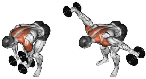 Pin By Stephen Tomporowski On Gym Shoulder Workout Bodybuilding