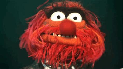 Animal From Muppets Gif