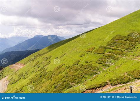 Green Mountain Scenery With Vivid Green Mountainside Coniferous Trees