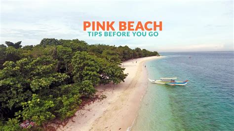 Pink Beach Zamboanga City Important Travel Tips Philippine Beach Guide