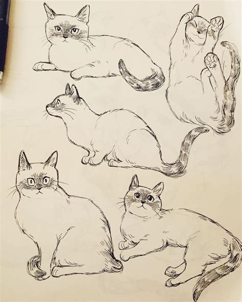 Bev Johnson Cats Art Drawing Cat Sketch Animal Drawings