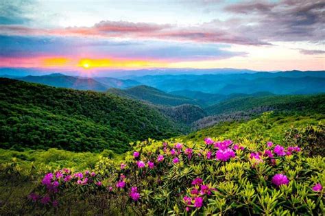 The Ultimate Guide To Visiting The Great Smoky Mountains National Park