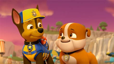 Chase Skye And Chase Paw Patrol Photo 41145956 Fanpop