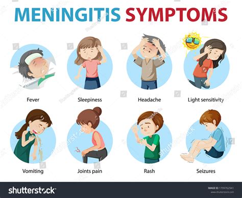 Meningitis Symptoms Cartoon Style Infographic Illustration Stock Vector Royalty Free 1799762941