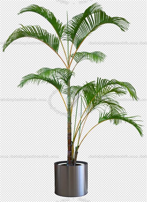 Packs Cut Out Vegetation Pot Plants Cut Out Pot Plants Pack 1 00016