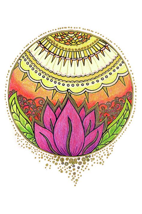 sun and lotus drawing by katherine nutt fine art america