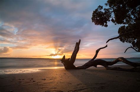 The Most Beautiful Beaches In Auckland New Zealand