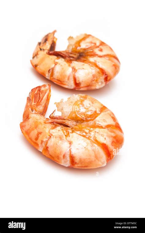 Cooked Tiger Prawn Or Asian Tiger Shrimp Isolated On A White Studio