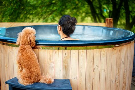 Can A Dog Go In A Hot Tub 2023 Safety Tips For Your Pup Whatspa