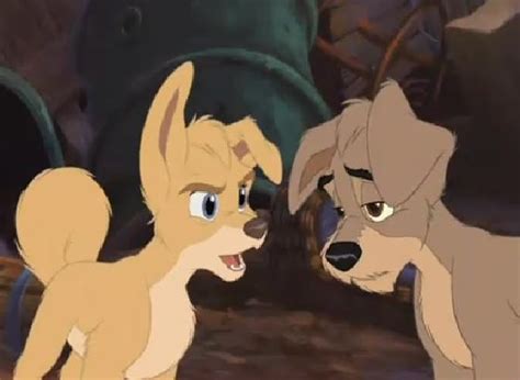 Scamp And Angel Disneys Couples Image 19526680 Fanpop