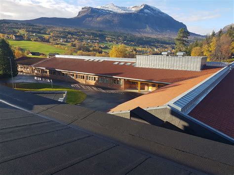 Dette kjem av at elevane i 6. Vang barne- og ungdomsskule - Sanne Hauglid a.s
