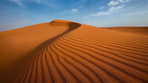 Wallpaper Landscape Desert Dune Sahara Grassland Habitat