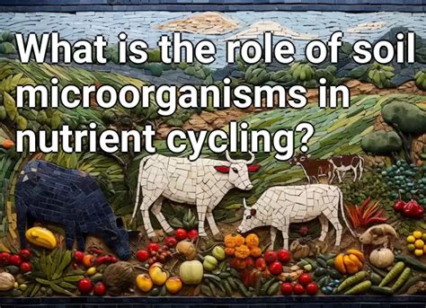 What Is The Role Of Soil Microorganisms In Nutrient Cycling
