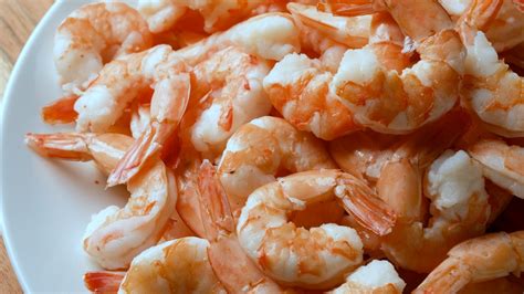 The Story Of The Biggest Shrimp Ever Caught Wild American Shrimp