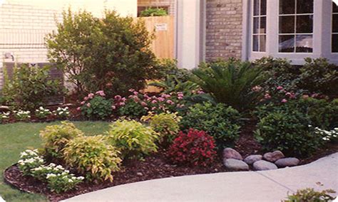 Maybe you would like to learn more about one of these? Front yard, sago palm | Gardens, Landscape, Home Exteriors ...