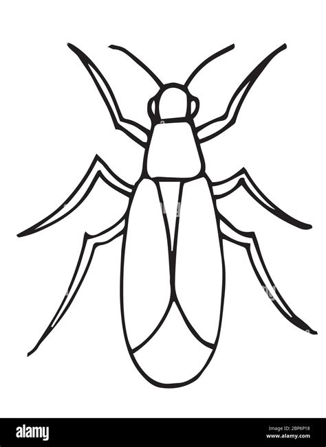 Insect Outline Vector Icon Coloring Page For Kids Exotic Bughand