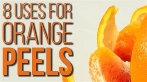 8 Alternative Uses For Orange Peels You Never Thought Of